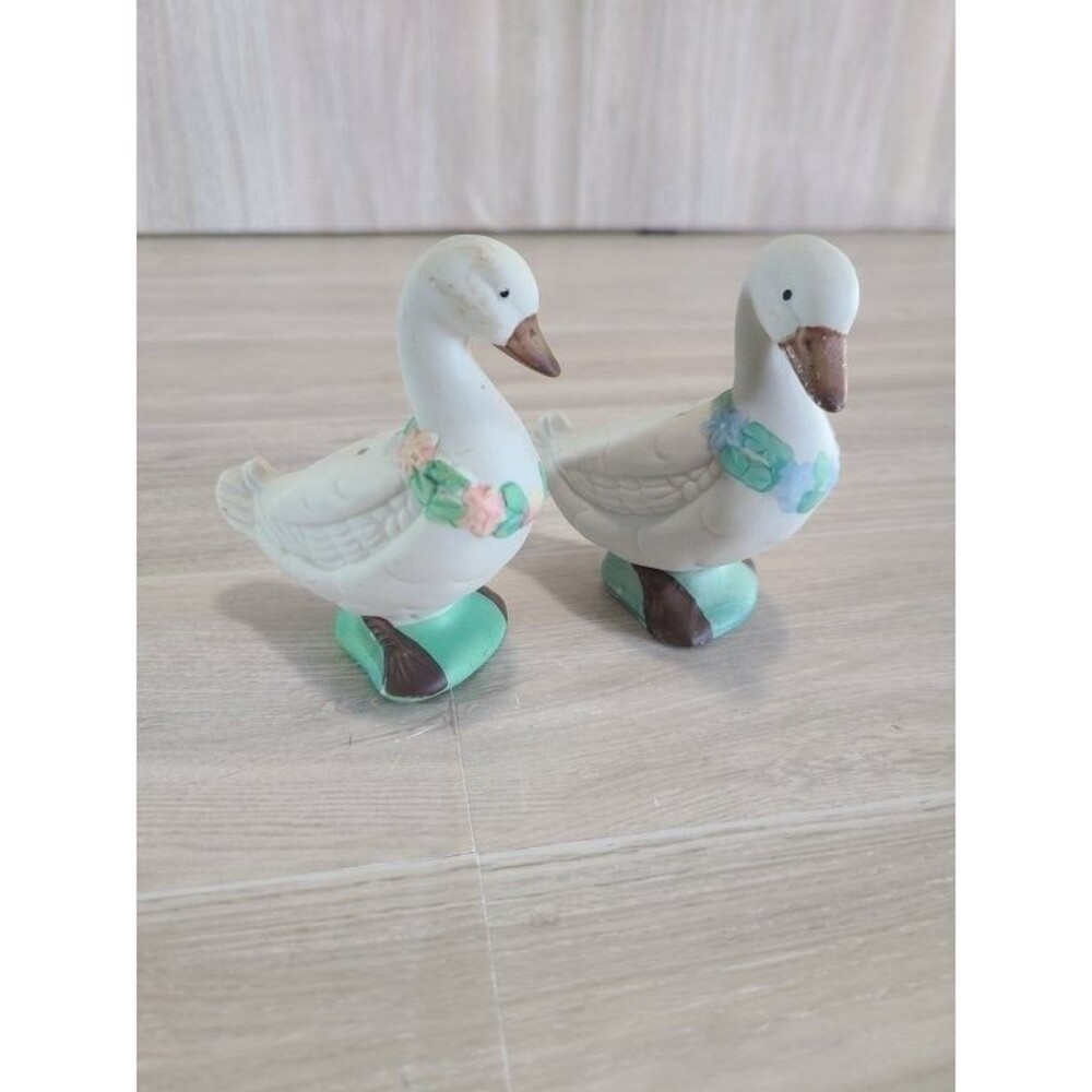 Vintage Goose & Gander Salt Pepper Shakers Bisque Porcelain Taiwan Floral Set